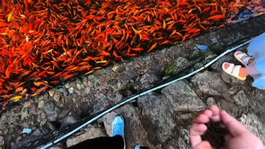 Bibu🌀 on Instagram: "Enjoy the little things."