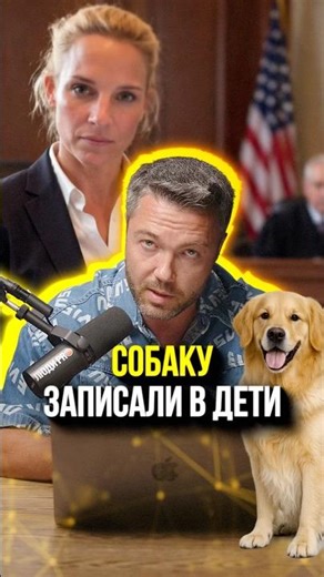 ⚠️ Pay for a dog — get benefits? | #shorts