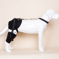 PetieTec Heating Braces For Hip and Knees