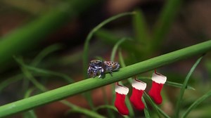 2.2K views · 33 reactions | Textile Design and Designers Platform on Reels | Facebook