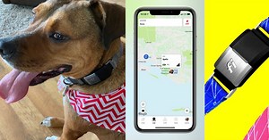 Review: Fi Smart Collar uses GPS and LTE to track your dog's location on your iPhone - 9to5Mac