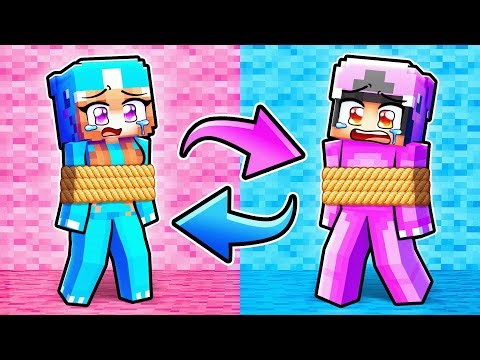 We SWAPPED COLORS in Minecraft!