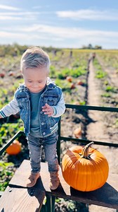 We had so much fun at the pumpkin patch the other day (see our stories). Hudson loved all the activities- especially the hayride, train ride and slides. Only problem was he kept getting stuck on the slides because he was so little. He full on stopped in the middle of one. Thankfully Makenzie was willing to help him out 😂. #pumpkinpatch #slides #toddlerlife #downsyndrome #downsyndromefamily #funnyreel #funnyreels | ourhuddybuddy