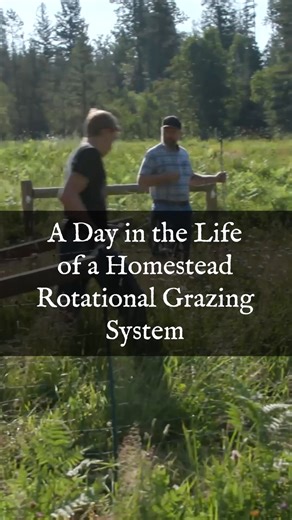 Do you practice rotational grazing on your homestead? Maybe you don't have a homestead, yet, but you want to learn as many skills as you can, so you're ready? If that sounds like you, consider joining the School of Traditional Skills as a member! We offer in-depth, on-demand training on raising livestock, gardening, preserving the harvest, cooking and baking nutrient-dense food, natural health solutions, and more, all designed to help you save time, money, and stress as you pursue your dream. Yo