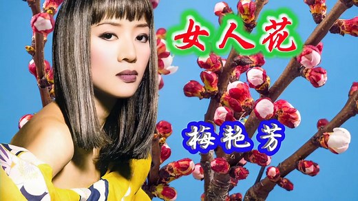 梅艳芳原唱完整版《女人花》歌声柔情似水细腻深情！至今无人超越