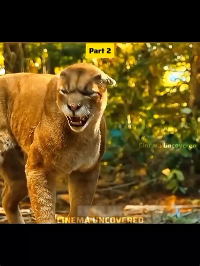 Movie Scene Editing Techniques