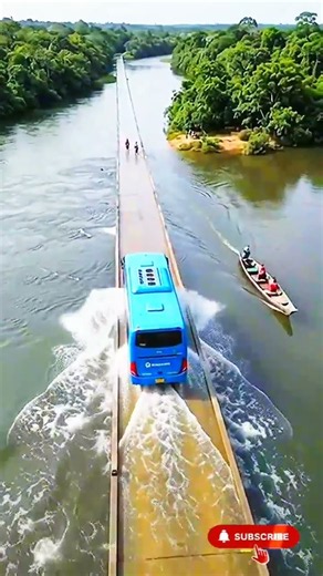 Floating Through Nature: Bus Crossing the Water Bridge 🍃🚌
