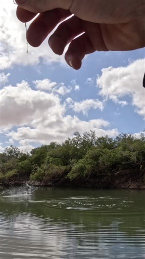 Mastering Barra Fishing Techniques and Tips