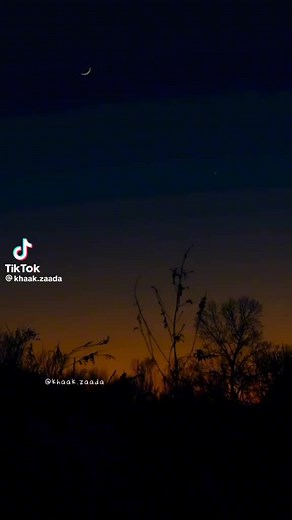 Candy_Doll (@candy_doll)’s videos with original sound - Candy_Doll