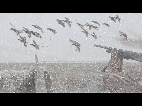 INSANE Blizzard Duck Hunt for Huge Mallards