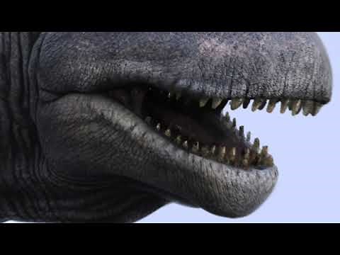 Dino Facts: Brachiosaurus