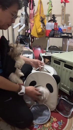 Cat bag portable breathable national fashion cute big space pet bag travel bag