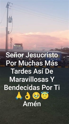 Te Amo En Cristo Jesús Padre #los5minutosdelespiritusanto #paz #amor