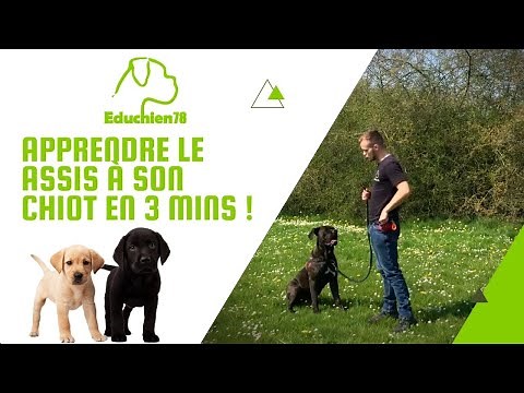 APPRENDRE LE ASSIS A SON CHIOT EN 3 MINUTES !!!