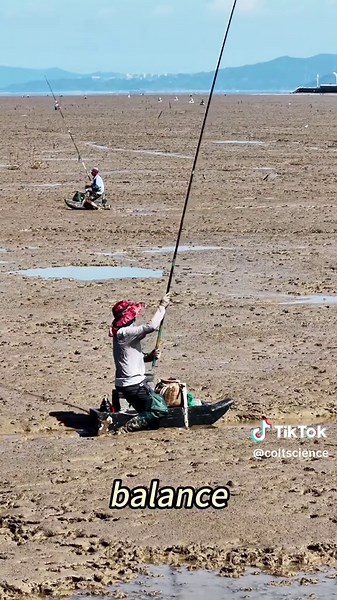 Fishing on the sand #fish #sand #didyouknow #knowledge #fpy