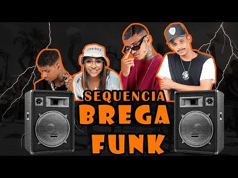 SEQUENCIA BREGA FUNK - SELEÇÃO DAS TOPS PARA O CARNAVAL 2024