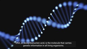 Exploring Genes and DNA - Facts You Need to Know