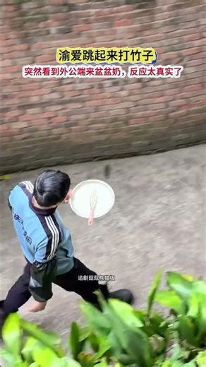 Yu Ai jumped up to hit Zhu Zi. Suddenly she saw her grandfather bring a basin of milk. Her