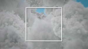 The Blue American Bulldog