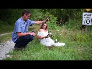 Ryan Mueller releases swarm of bees