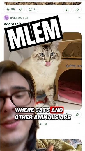 MLEM: Specific Cat Reddit explained #cats #memes #cat #reddit #catmemes #shorts #viral #greenscreen