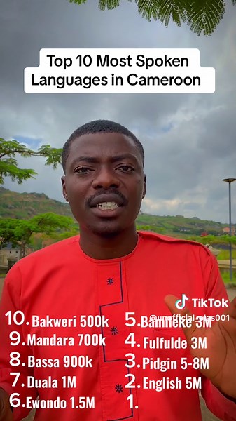 Most spoken languages in Cameroon.. #cameroontiktok🇨🇲 #mostspokenlanguages #french #bassa #bakweri