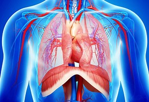 Chest trauma: traumatic rupture of the diaphragm and traumatic asphyxia