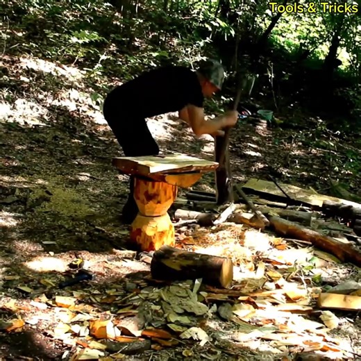 Summer Built a TreeHouse, Designed for Recreational Use in a Wild Forest | Dungannon Thomas Clarkes