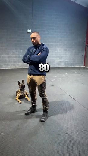 Everyone talks about reward-based training… But no one talks about what happens when the reward isn’t enough. Here’s the reality I see every single week: Dogs trained only with treats or games often fall apart the moment the environment becomes more exciting, more stressful or more overwhelming than the reward you’re offering. Because if your entire relationship is built on bribery… You lose the moment your dog decides something else is more valuable. And this is why so many owners struggle with