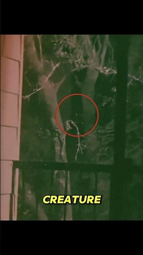 The Chilling Truth Behind Mothman in West Virginia 👀 #mothman #cryptids #urbanlegends