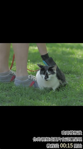 Hello開頭動畫素材｜🎮三步套用到影片開頭！#信手剪影 #ClipChef #hello #剪輯 #剪輯教學 #影片剪輯 #影片模板 #影片開頭 #影片開頭素材