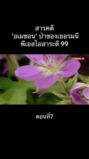 ป่าอเมซอน #สารคดี #สารคดีโลก #สาระความรู้ #วีดีโอน่าดู #โลก