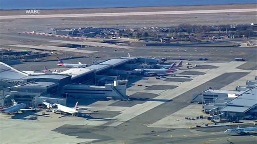 Bird strikes American Airlines plane forcing an emergency landing