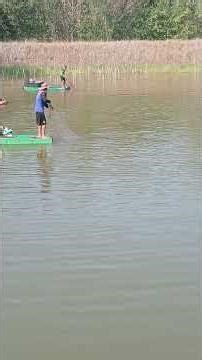 Casting a net by a frog fishing expert #netcasting #fishing #castingnet #thailand #shots #scattering