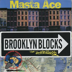 Masta Ace - Brooklyn Blocks / Last Bref