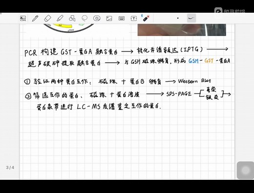 GST pull-down 技术原理讲解