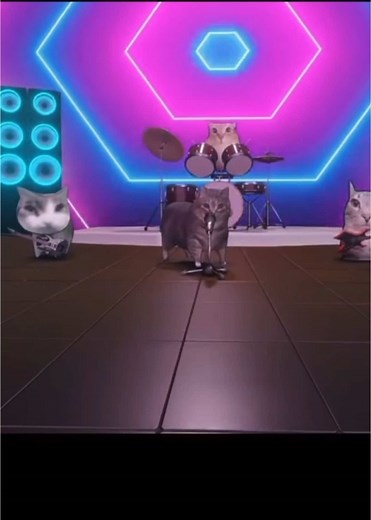 Divertido gato dando vueltas