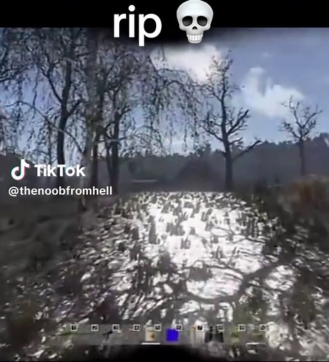 Exploring Stalker Servers in DayZ Gameplay