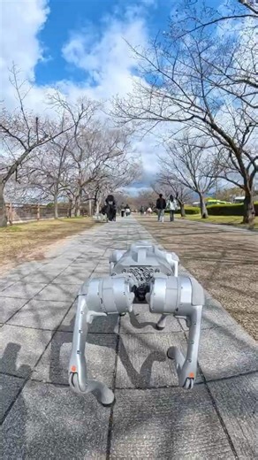 AIロボットのお散歩【Unitree Go2 AIR】