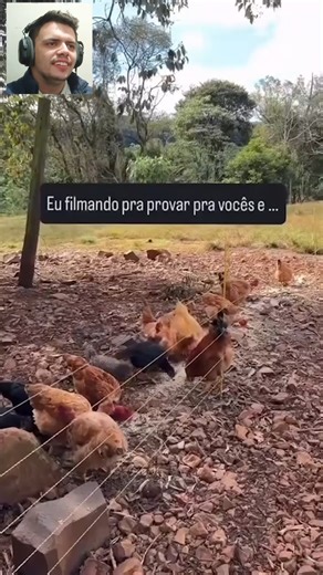 Animals vs Shock Fence ⚡️#funnyvideos #ElectricFence #funnyanimals #fblifestyle | Eletric FENCE