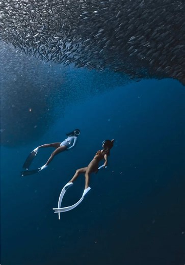 Friendship Adventures: Enjoying Life Together