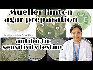 ||Mueller Hinton agar preparation| what is the use in microbiology lab|| #muellarhintonagar#mueller