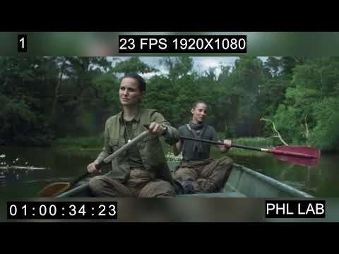 test yle file expired 1