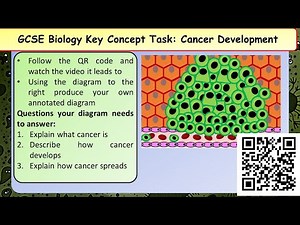 KS4 AQA Biology (Science) Cancer Lesson & Activities | Teaching Resources