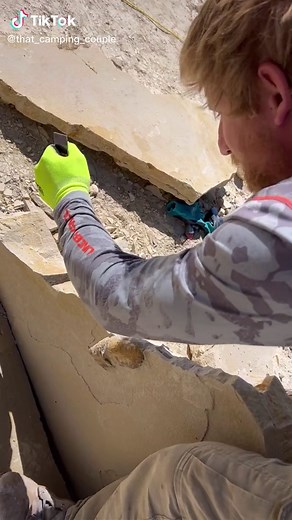 The Value of Crocodile Poop Over Time