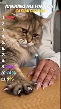 Cat Imitation Challenge | Ranking the Best Moments