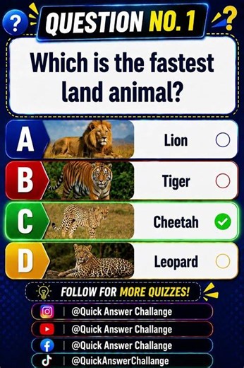 99% People Fail This Quiz! 🤯 Can You Get All 3 Right? #shorts
