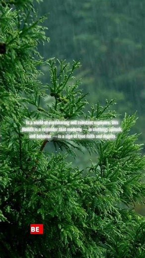 Hadith: Seeking Knowledge Is an Obligation for Every Muslim 📖✨