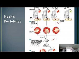 Chapter 14: Process of Disease