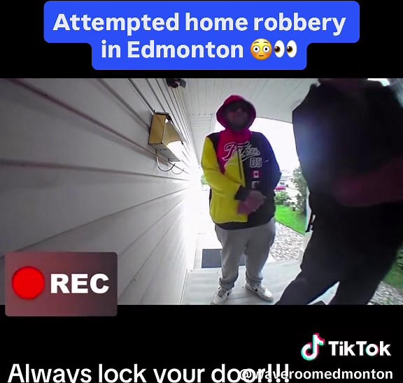 Daily Edmonton Content and Safety Updates